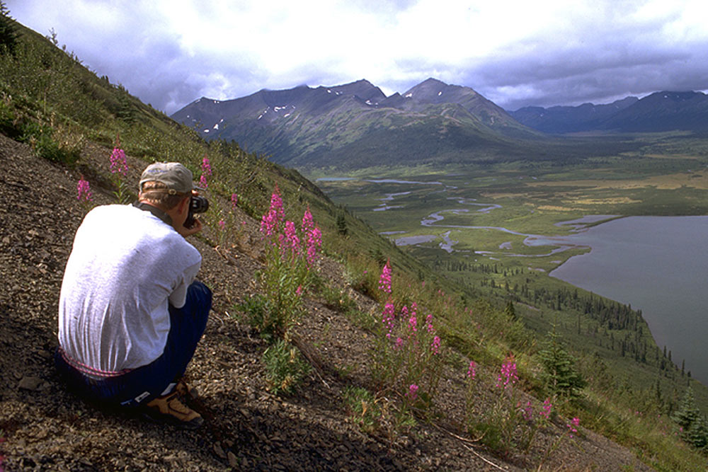 Man crouched to the ground to photograph wildflowers high above the Snake River in Yukon, Canada.