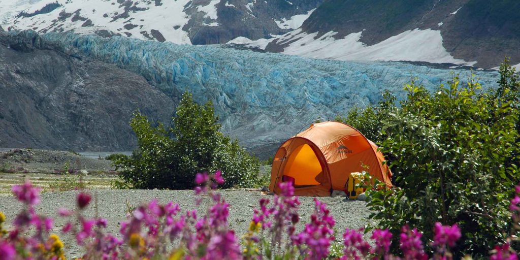 A campsite on the Tatshenshi River with the blue ice of Walker Glacier in the background, and wildflowers in the foreground.