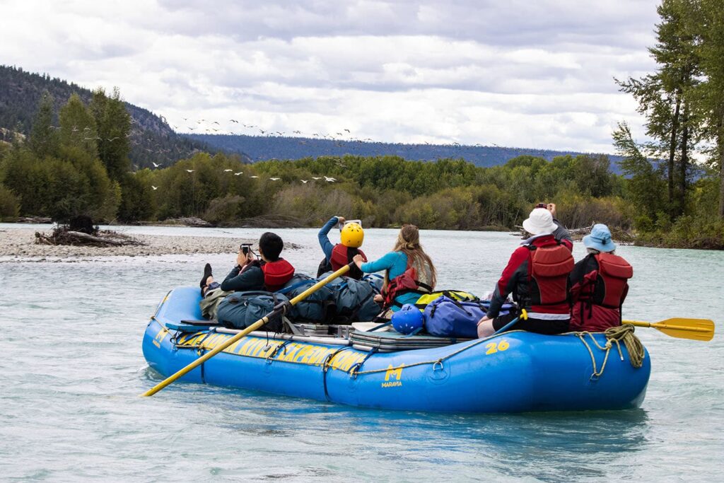 Rafters watch American white pelicans on the Taseko River, British Columbia, Canada.