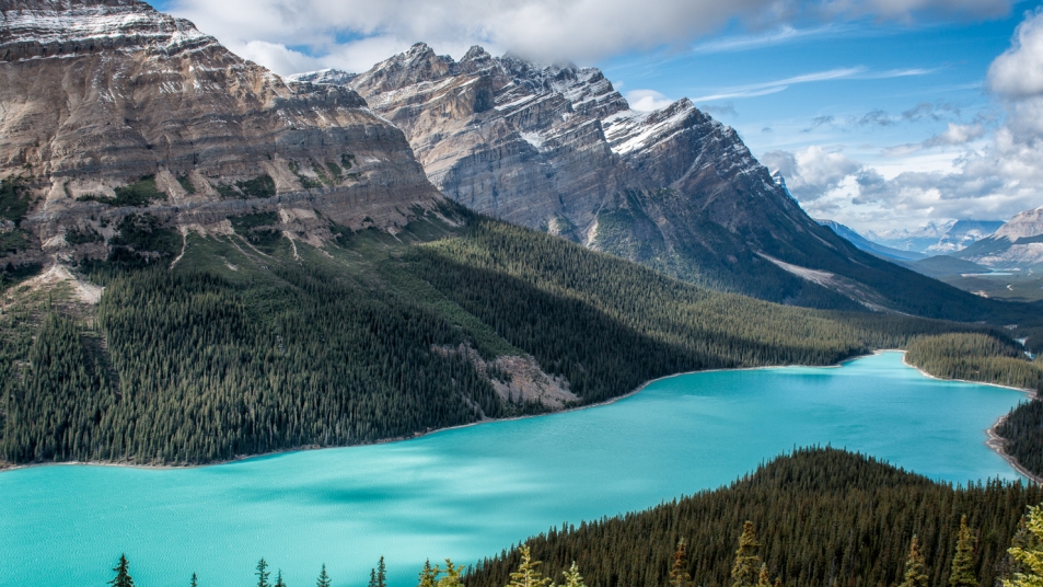 icefields