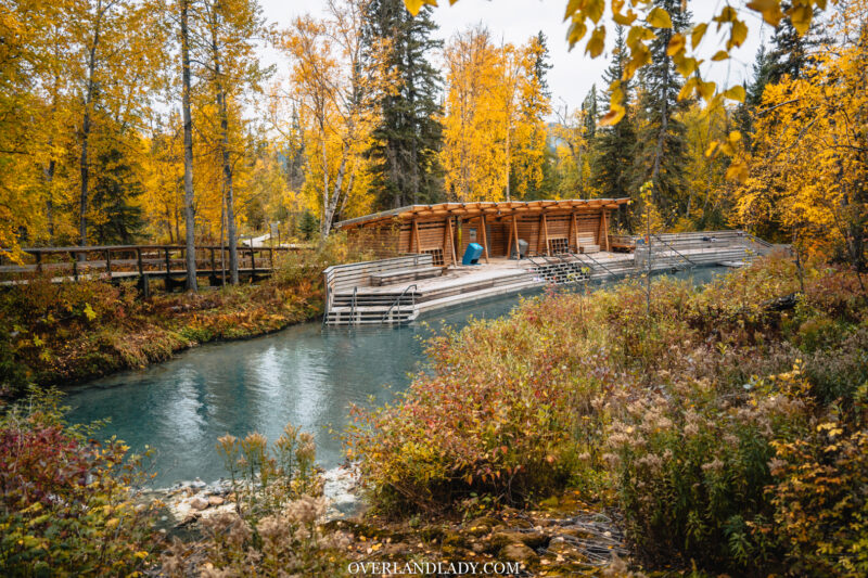 liard hotsprings alaska highway 800x533