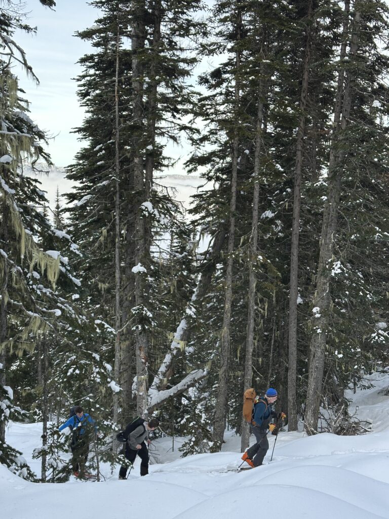 Ski touring at Hankin-Evelyn, Smithers, British Columbia, Canada.